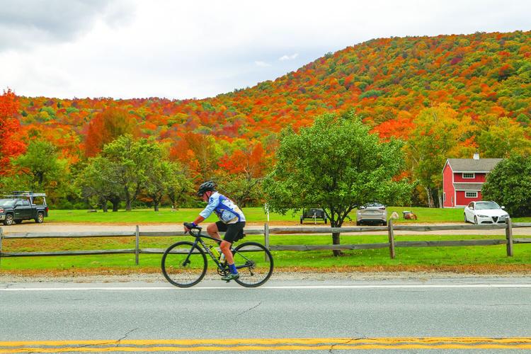 10-01-26 Foliage cyclist by dana