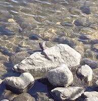 North Country Angling: Skunked