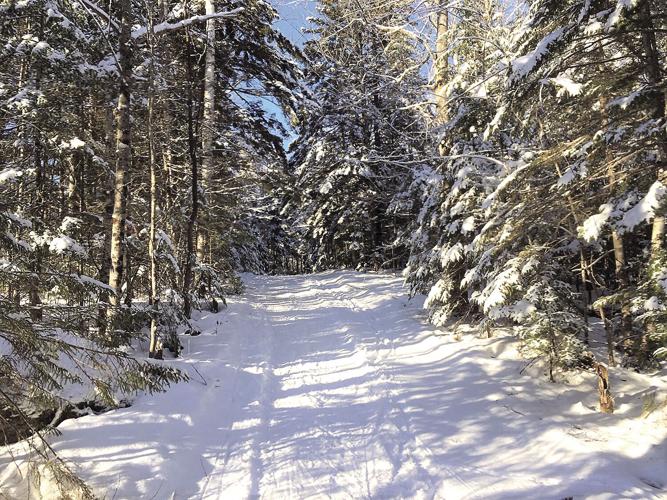 Nordic Tracks - snow-covered Windy Hill Trail