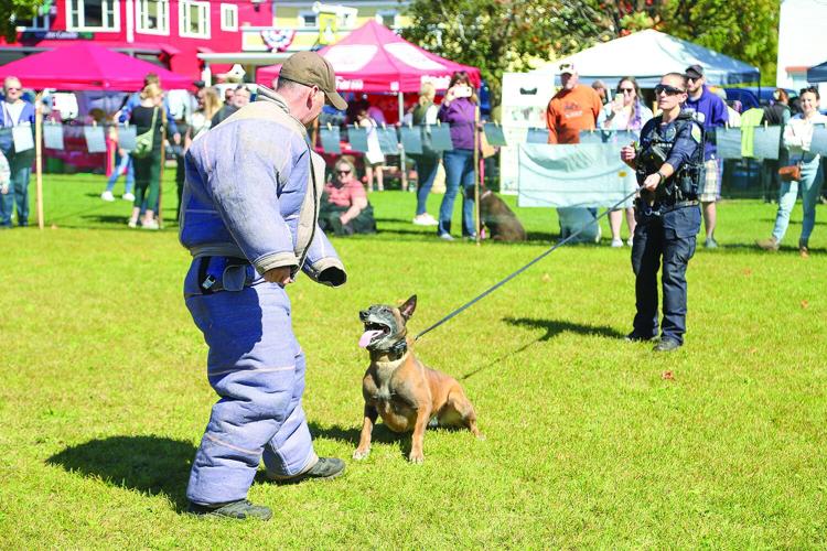 09-20-25 Bark in Park k9 demo watching