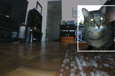 The camera on a robot vacuum cleaner captured this cat. What else did it capture around the house?