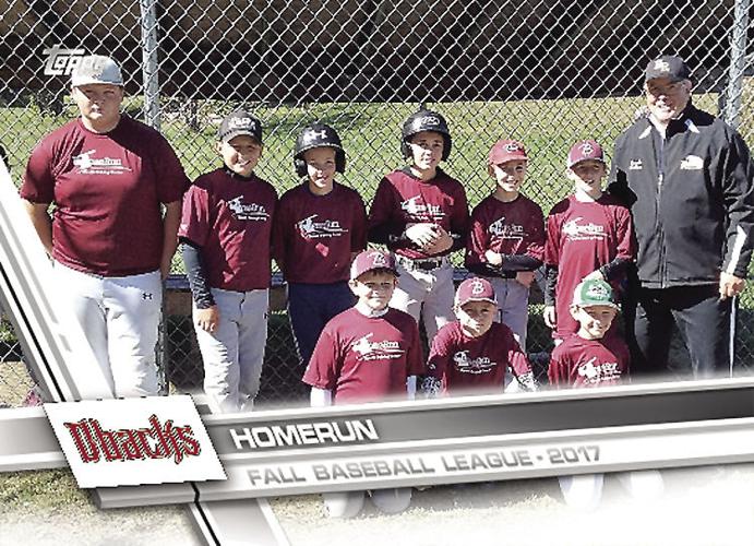 Doc's Dugout — Diamondbacks