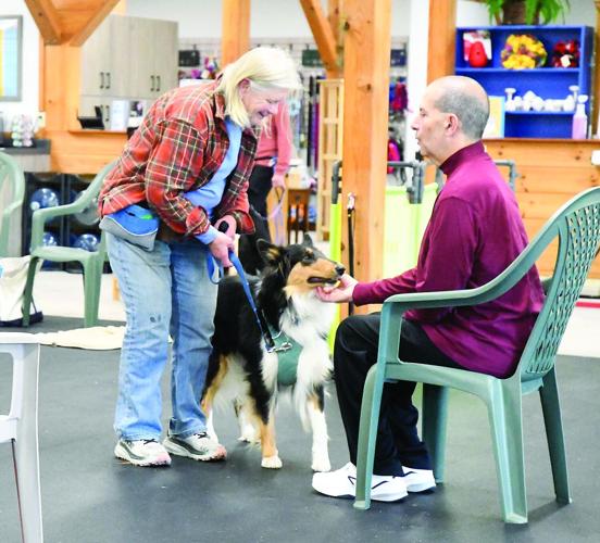 Meet the Trainer. - Greg Lagios