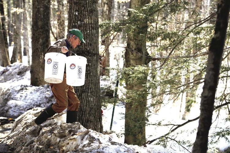 03-18-21_MapleEarle_2