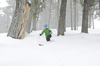 1-25-19 Basch-Powder Skiing