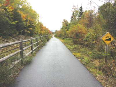 10-11-18 Basch-The silliest century