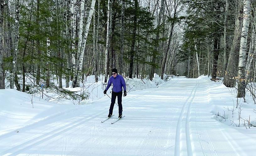 Nordic Tracks - A Nordic Ski - skier on the South Hall Trail