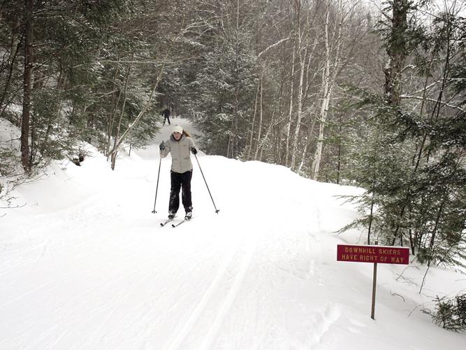 Nordic Tracks - downhill skiers have the right away