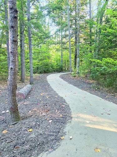 Accessible Trail to Playspace 10.2.25 (3).tif