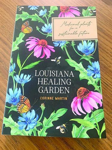 CL w40 corinne martin book cover.tif