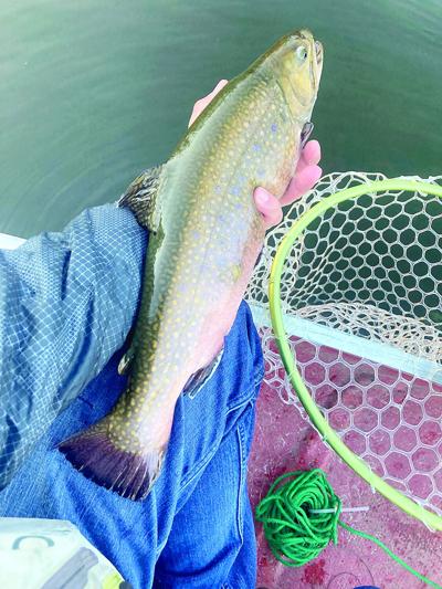 North Country Angling - trout season