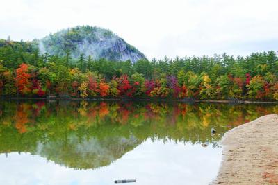 10-14-24 Echo Lake Foliage cathedral with beach