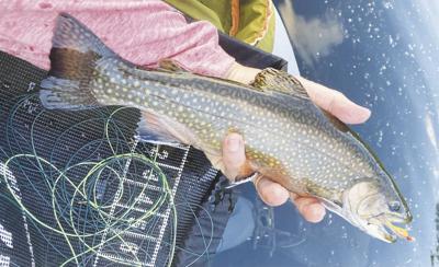 5-28-2022 North Country Angling-Memorial Day-Brook Trout