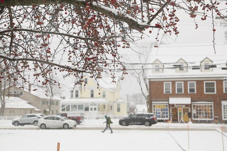 12-04-21 Snow tree and street