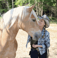 The horse listener: Paula Lambie's Human Horse Balance Stables