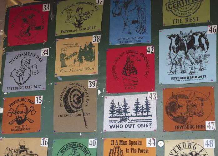 10-3-17 Frye Fair 9.JPG