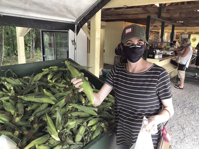 VV - Lauren Hawkins picking corn