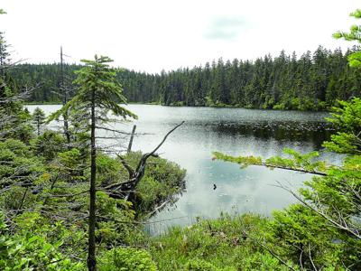 Hiking  - Nancy Pond