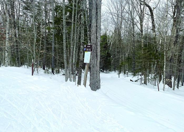 Nordic Tracks - A Nordic Ski - Kenney Trail junction