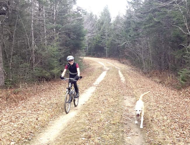 Wheel Family Fun - Rider and canine in Jackson