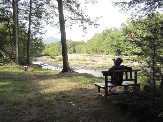 Wheel Family Fun - Albany Town Forest bench