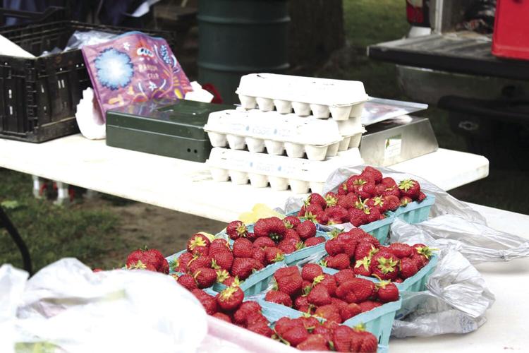Gorham Farmers Market_2658.JPG