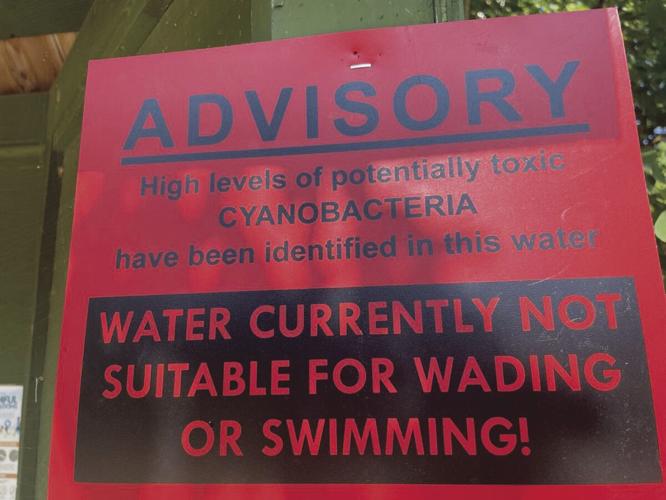cyano sign