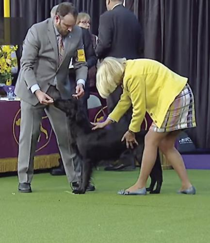 Westminster - Robin Crocker's Kit