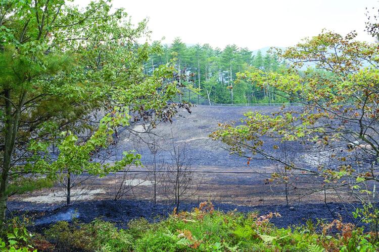 08-13-25 Holiday Inn-Brush Fire burnt patch from tracks