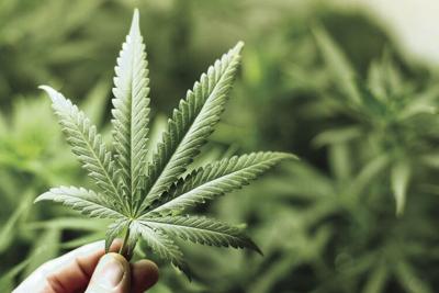 The push for legal recreational marijuana in Pennsylvania - wnep.com