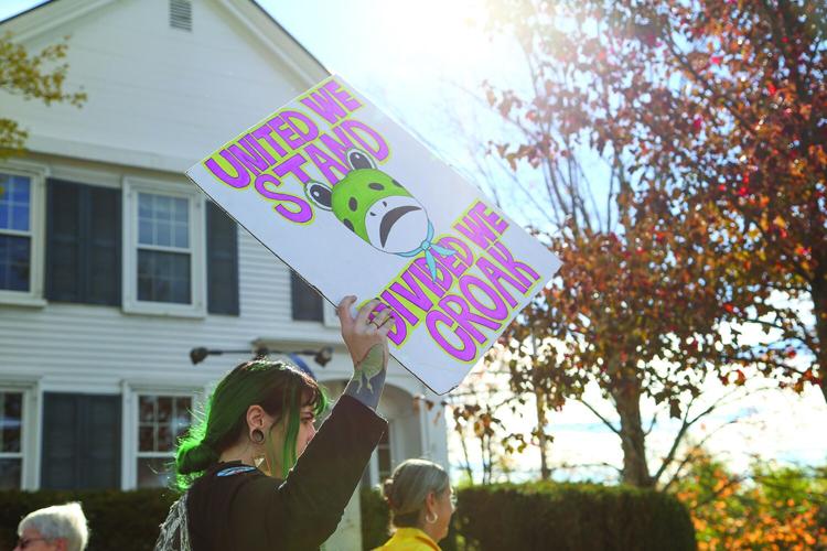 10-18-25 No Kings frog sign