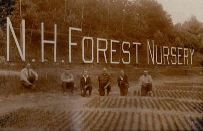 The N.H. Forest Nursery management program dates to August 1925.