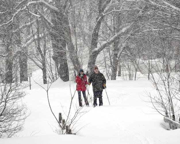 2-16-19 Morning Stroll.jpg