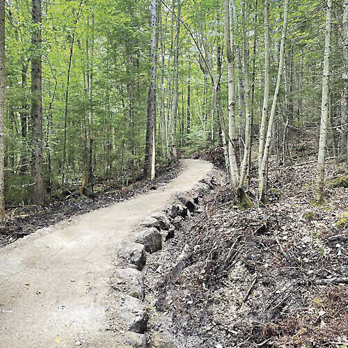 Wheel Fami;y Fun - Howie Get There