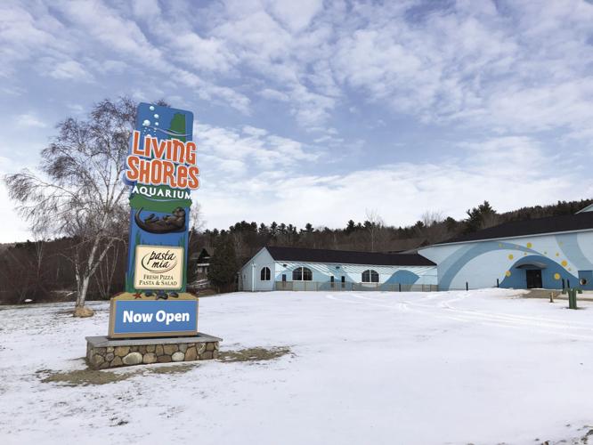 pasta mia exterior sign