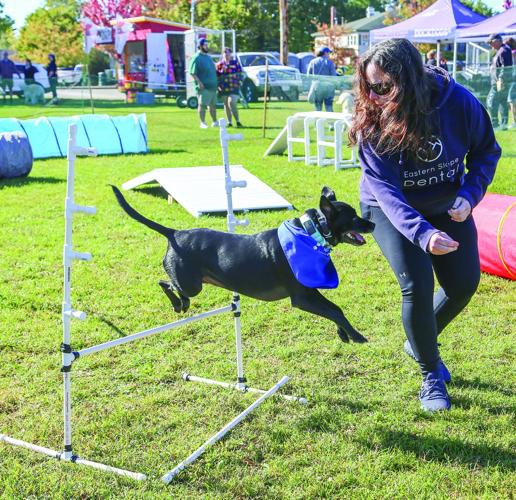 09-20-25 Bark in Park obstacle square
