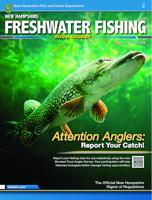 North Country Angling: Musings and observations for a new year