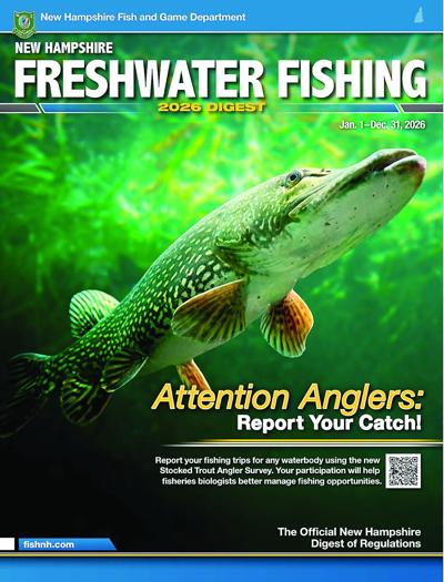 North Country Angling - northern pike