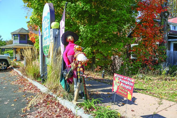 09-30-25 Pumpkin People white birch widest