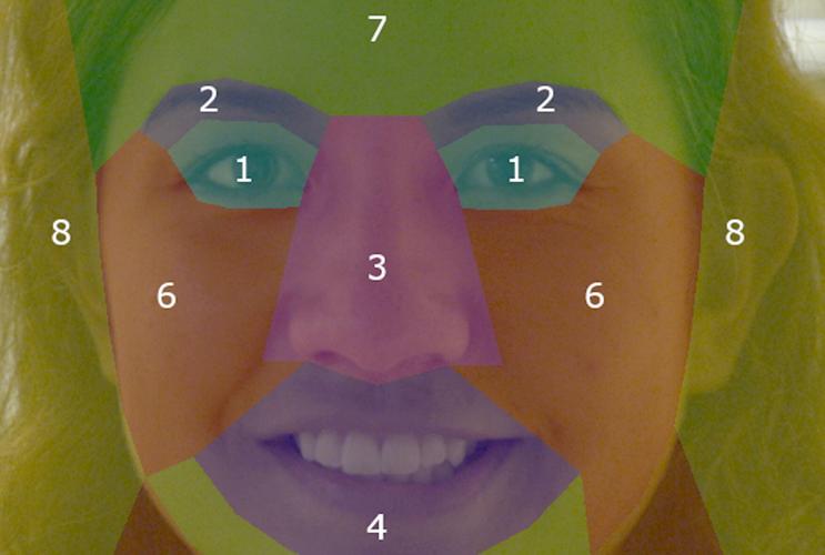 Facial identity specialists can recognise someone just from their eyes or ears
