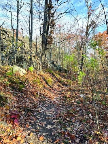 Wheel Family Fun - The Tale of Jack - Jack Trail