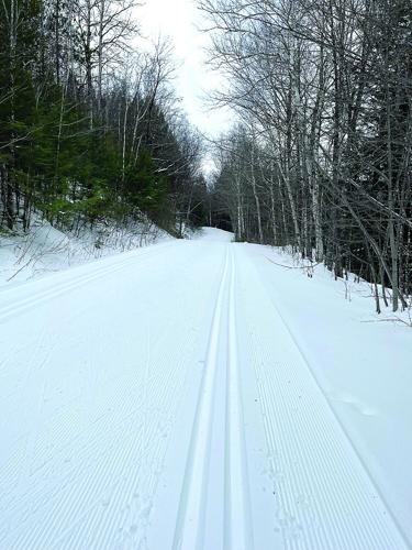 Nordic Tracks - A Nordic Ski - South Hall Trail
