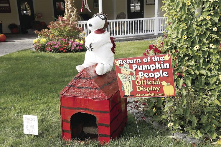 10-05-21 Pumpkins white mtn photo tighter