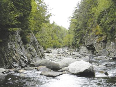 8-7-2021 Parsons-Diamond Gorge, Second College Grant