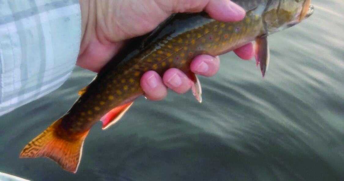 North Country Angling: Increased Opportunity? Sep 11, 2026 2 mins ago