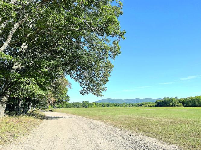 Wheel Family Fun - Frog Alley in Fryeburg - Hemlock Road skirts hayfields