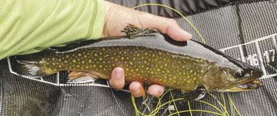 9-10-2022 North Country Angling