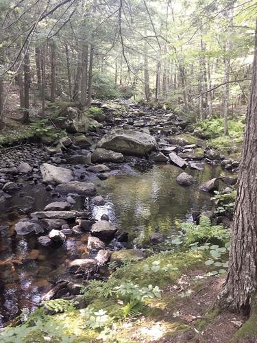 Wheel Family Fun - Willey Brook