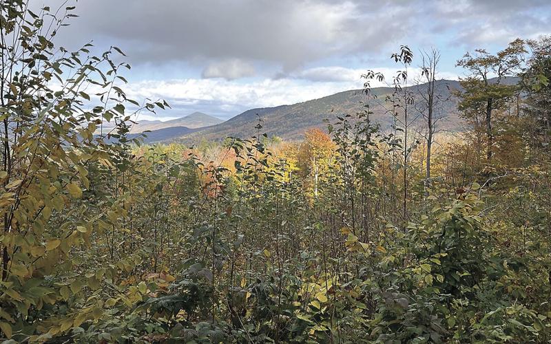 Wheel Family Fun - Mount Kearsarge