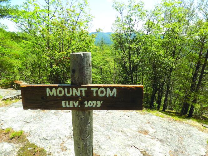Summit sign on Mount Tom